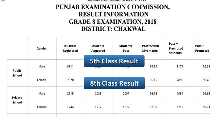 Download District Chakwal 5th and 8th Class Result Gazette in PDF